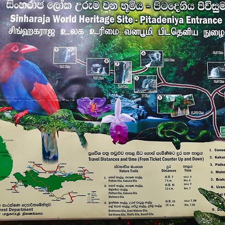 דניאיאה Sinharaja Vini Villa מראה חיצוני תמונה