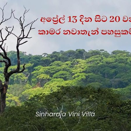 דניאיאה Sinharaja Vini Villa מראה חיצוני תמונה