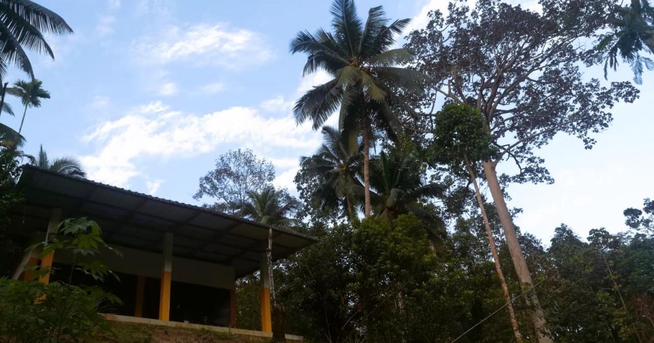 דניאיאה Sinharaja Vini Villa מראה חיצוני תמונה