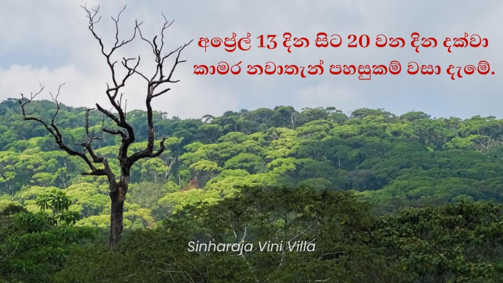 דניאיאה Sinharaja Vini Villa מראה חיצוני תמונה